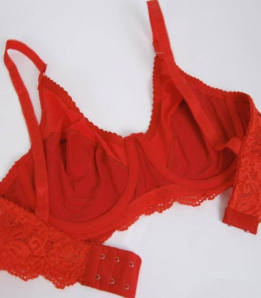 ست لباس زیر زنانه گیپور و استرچ Paniz پانیذ کد 9012 - قرمز