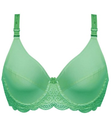 ست لباس زیر زنانه گیپور و استرچ Paniz پانیذ کد 9012 - پسته ای