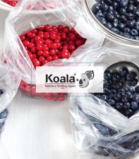 کیسه فریزر آسان مصرف کوالا Koala بسته 200 عددی